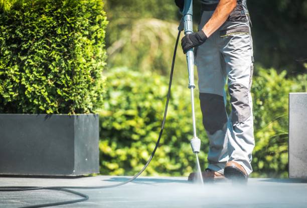 Best Spring Cleaning  in Gold River, CA