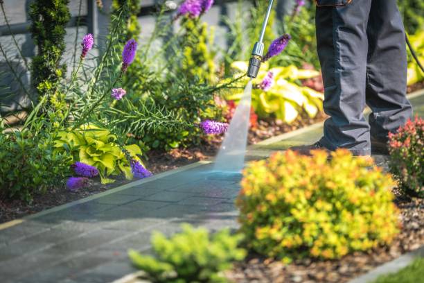 Best Winterizing Services  in Gold River, CA