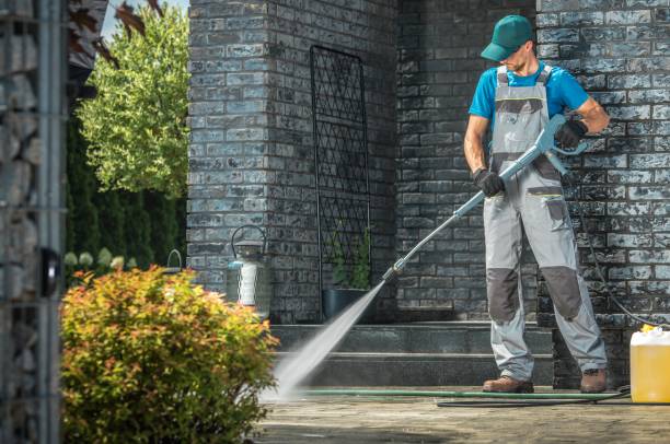 Best Paint Preparation  in Gold River, CA