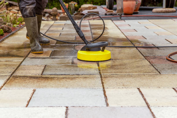 Best Roof Washing  in Gold River, CA
